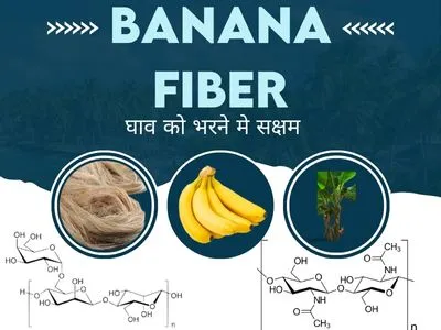 Banana-Fiber